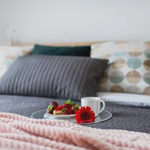  Apartament P&o Wola Tarasy Polska